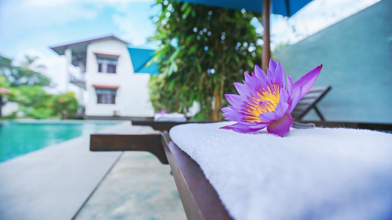 Kaminrich Cottage Матара Екстер'єр фото